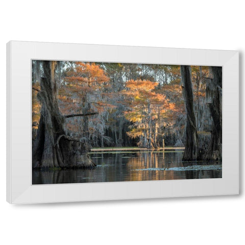 Soft Light White Modern Wood Framed Art Print by Head, Danny