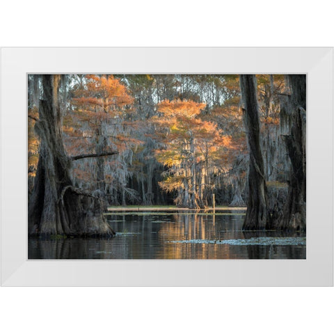 Soft Light White Modern Wood Framed Art Print by Head, Danny
