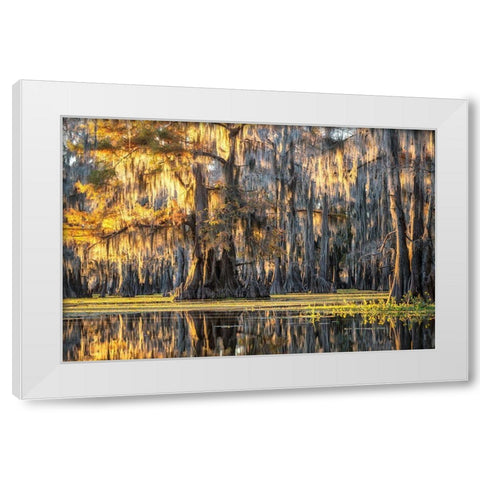 Bayou Dawning White Modern Wood Framed Art Print by Head, Danny