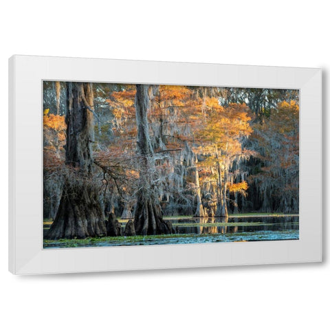 Soft Light II White Modern Wood Framed Art Print by Head, Danny