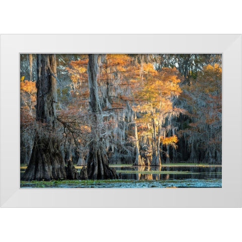Soft Light II White Modern Wood Framed Art Print by Head, Danny