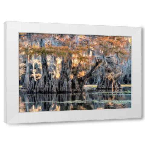 Bayou Morning White Modern Wood Framed Art Print by Head, Danny