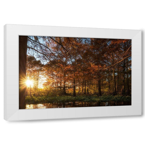 Last Light White Modern Wood Framed Art Print by Head, Danny