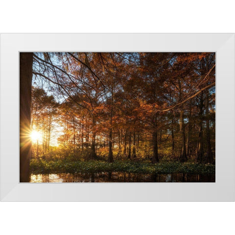 Last Light White Modern Wood Framed Art Print by Head, Danny
