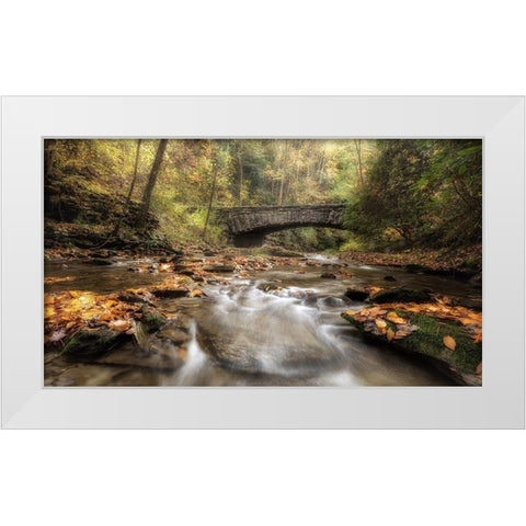 The Arch in Autumn White Modern Wood Framed Art Print by Head, Danny