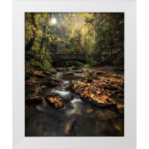 Shine On White Modern Wood Framed Art Print by Head, Danny