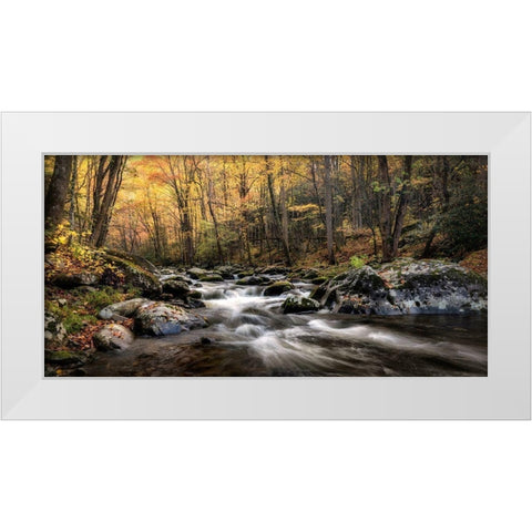 Morning Glow White Modern Wood Framed Art Print by Head, Danny