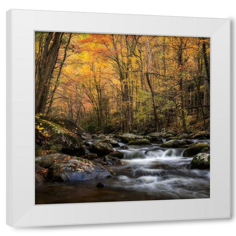 Golden Glow White Modern Wood Framed Art Print by Head, Danny
