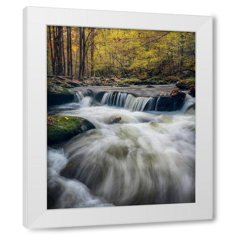 In Deep White Modern Wood Framed Art Print by Head, Danny