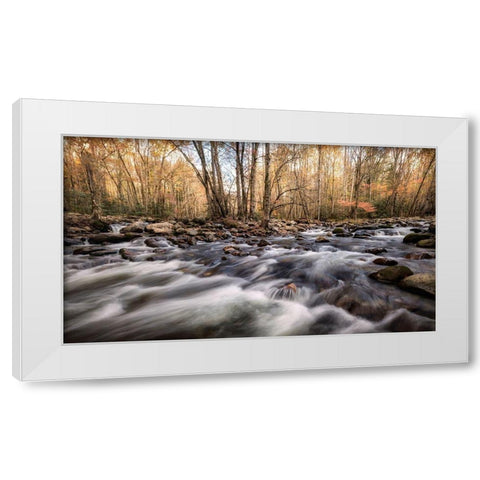 Rivers Fork White Modern Wood Framed Art Print by Head, Danny