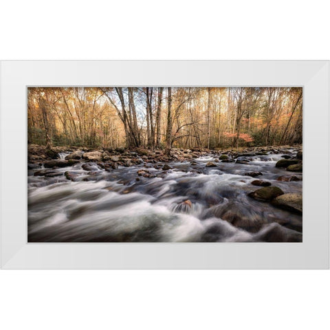 Rivers Fork White Modern Wood Framed Art Print by Head, Danny