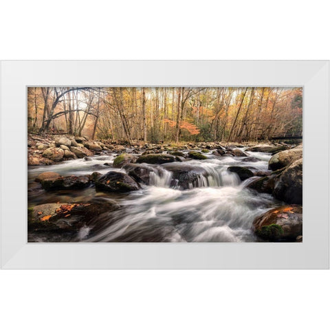 Autumn at Porters Creek White Modern Wood Framed Art Print by Head, Danny