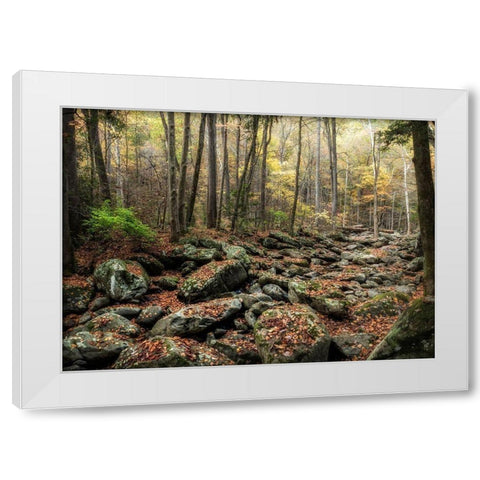Dry Creek White Modern Wood Framed Art Print by Head, Danny