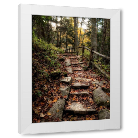 Step It Up White Modern Wood Framed Art Print by Head, Danny