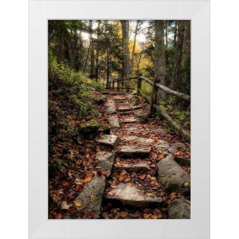 Step It Up White Modern Wood Framed Art Print by Head, Danny