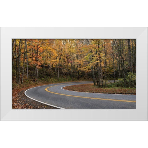 Mountain Loop White Modern Wood Framed Art Print by Head, Danny