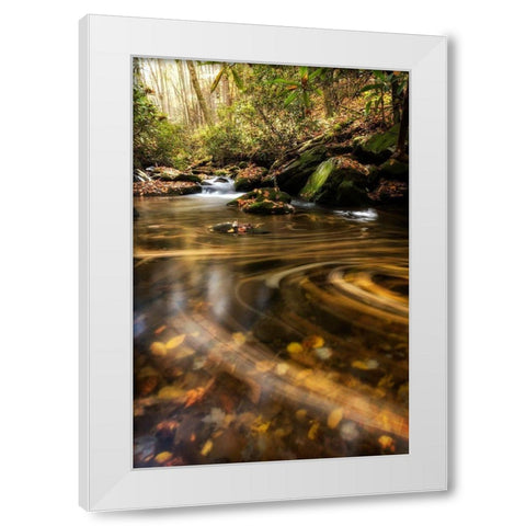 Moving Autumn II White Modern Wood Framed Art Print by Head, Danny