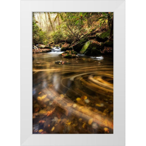 Moving Autumn II White Modern Wood Framed Art Print by Head, Danny