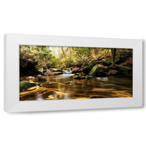 Moving Autumn III White Modern Wood Framed Art Print by Head, Danny