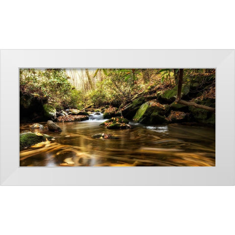 Moving Autumn III White Modern Wood Framed Art Print by Head, Danny