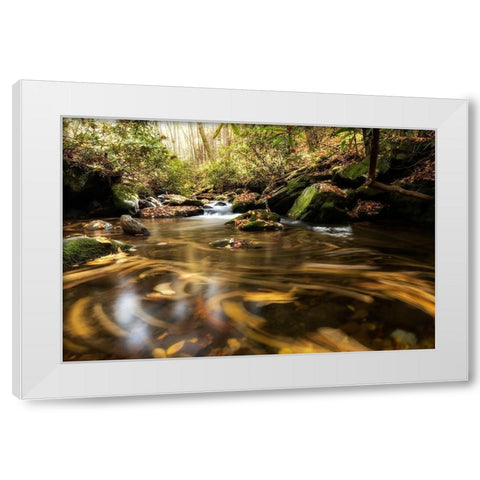 Moving Autumn IV White Modern Wood Framed Art Print by Head, Danny