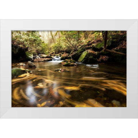 Moving Autumn IV White Modern Wood Framed Art Print by Head, Danny