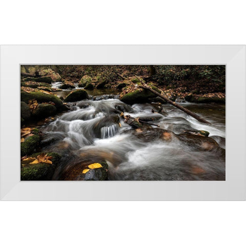 Fallen Leaves II White Modern Wood Framed Art Print by Head, Danny