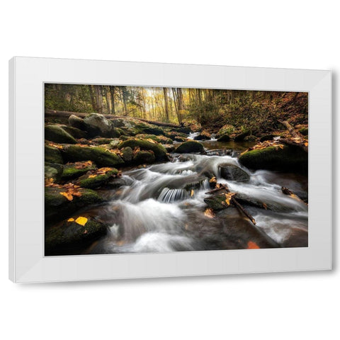 Fallen Leaves III White Modern Wood Framed Art Print by Head, Danny