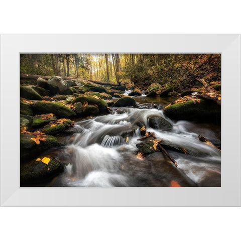 Fallen Leaves III White Modern Wood Framed Art Print by Head, Danny
