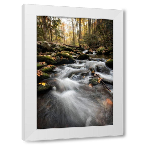 Fallen  Leaves IV White Modern Wood Framed Art Print by Head, Danny