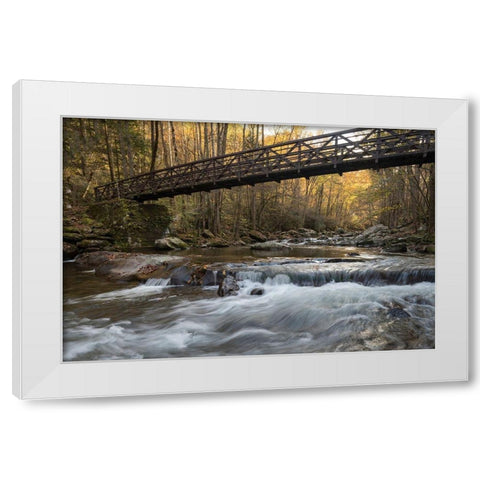 Bridge to Autumn I White Modern Wood Framed Art Print by Head, Danny