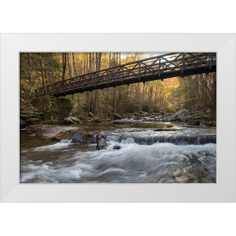 Bridge to Autumn I White Modern Wood Framed Art Print by Head, Danny