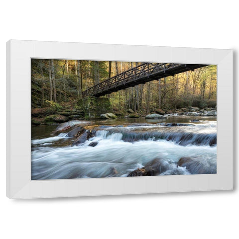 Bridge to Autumn II White Modern Wood Framed Art Print by Head, Danny