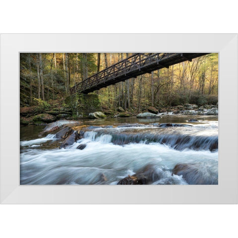 Bridge to Autumn II White Modern Wood Framed Art Print by Head, Danny