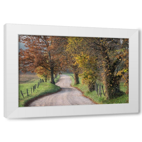 Hyatt Lane III White Modern Wood Framed Art Print by Head, Danny