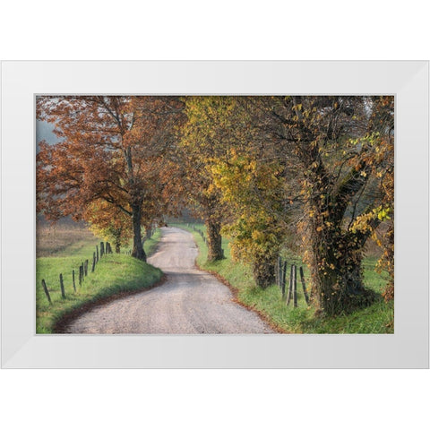 Hyatt Lane III White Modern Wood Framed Art Print by Head, Danny