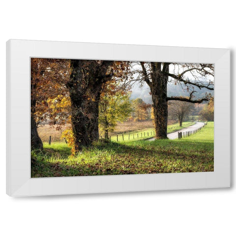 Beside theLane  White Modern Wood Framed Art Print by Head, Danny
