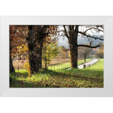Beside theLane  White Modern Wood Framed Art Print by Head, Danny