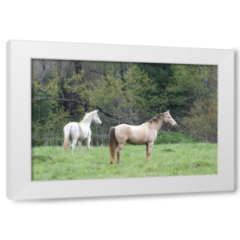 Buddies II White Modern Wood Framed Art Print by Head, Danny