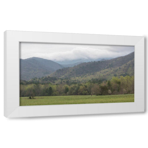 In the Cove White Modern Wood Framed Art Print by Head, Danny