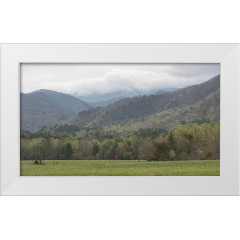 In the Cove White Modern Wood Framed Art Print by Head, Danny