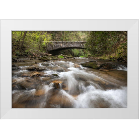 Cool Running White Modern Wood Framed Art Print by Head, Danny