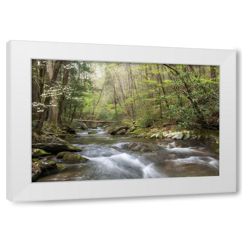 Spring Awakening I White Modern Wood Framed Art Print by Head, Danny
