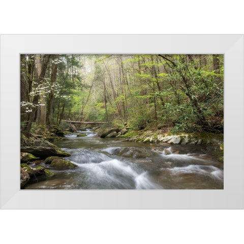 Spring Awakening I White Modern Wood Framed Art Print by Head, Danny