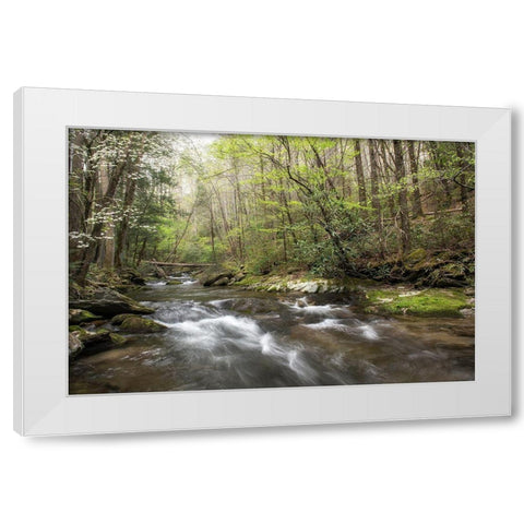Spring Awakening II White Modern Wood Framed Art Print by Head, Danny