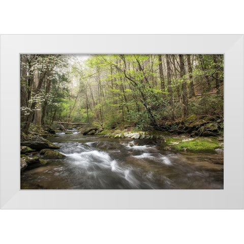 Spring Awakening II White Modern Wood Framed Art Print by Head, Danny