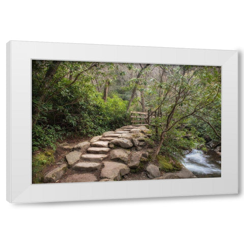 Stone Steps White Modern Wood Framed Art Print by Head, Danny
