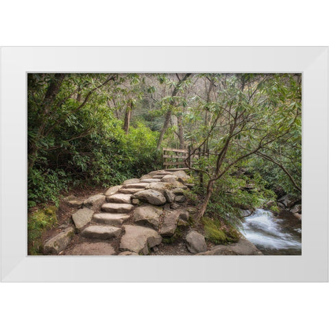 Stone Steps White Modern Wood Framed Art Print by Head, Danny