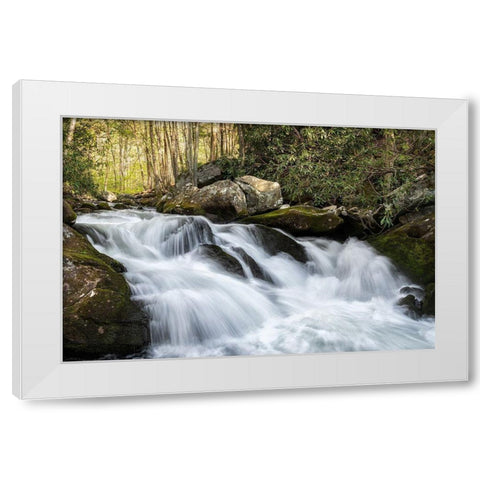 Sudden Drop White Modern Wood Framed Art Print by Head, Danny