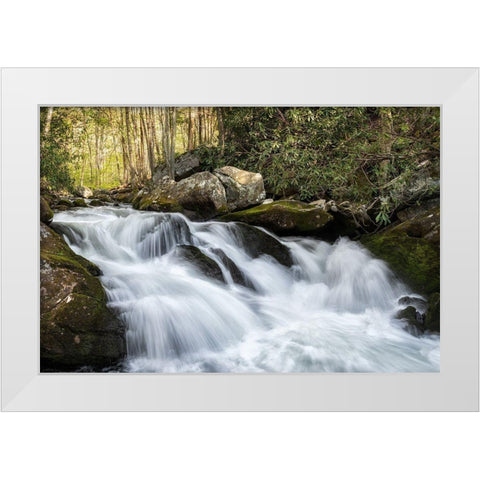 Sudden Drop White Modern Wood Framed Art Print by Head, Danny